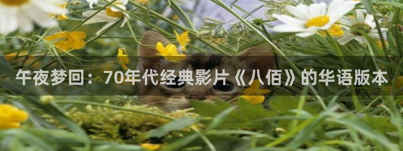 星空电影官网下载