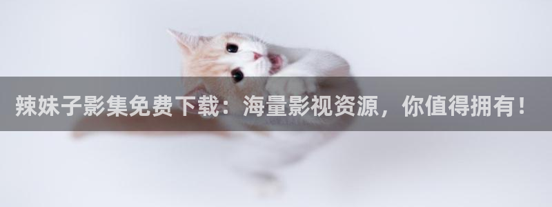 可可影视在线观看电视