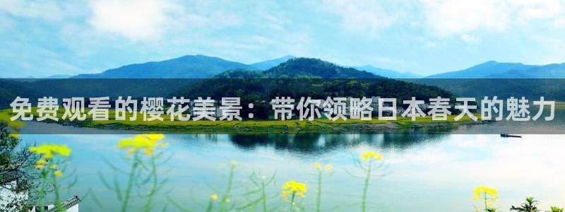 可可影视电影电视剧