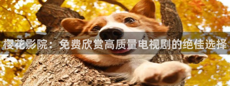 星空免费看电影