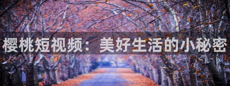 可可影视电影在线观看动漫免费