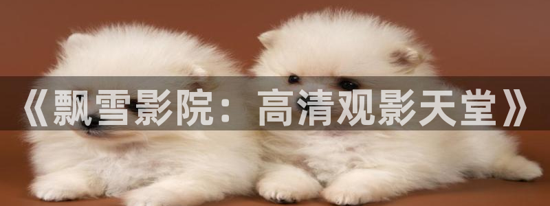 星空视频电影在线视频观看