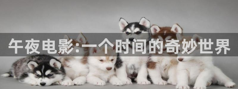 星空影视会员