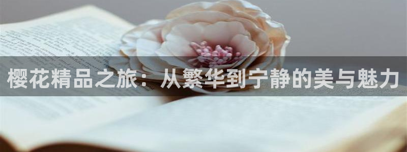 可可影视电视剧免费看入口