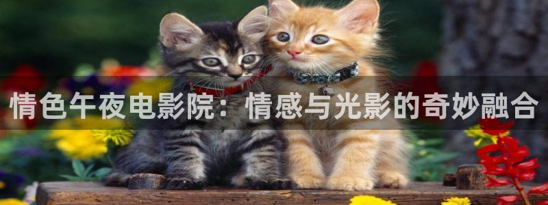 六盘水星空影城