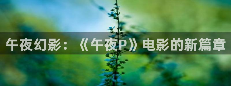 星空影视在线免费观看电影