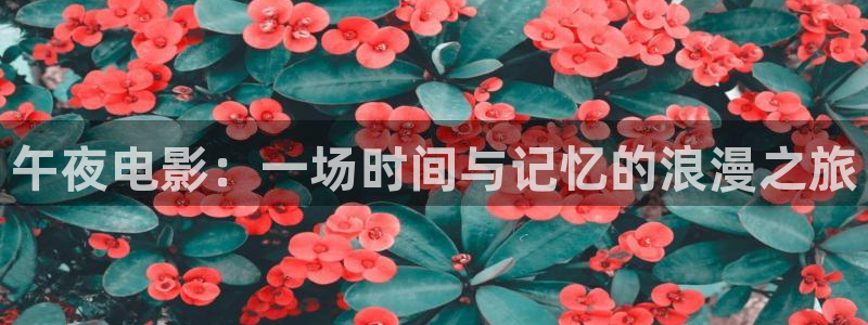 星空影城影讯