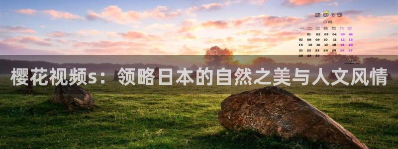 星空顶家庭影院