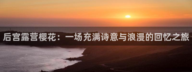 星空的画
