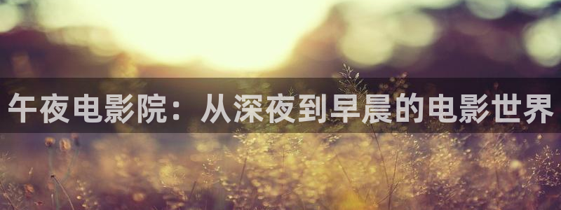 星空在线观看免费高清电影