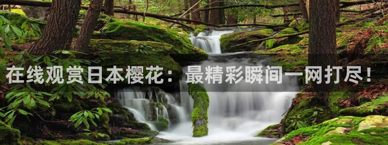 星空影视免费看
