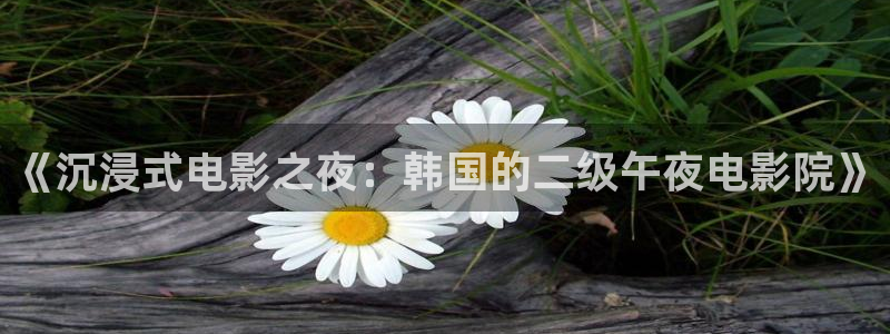 星空的图片大全