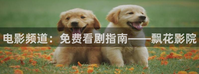 可可影视免费观看电影2023年上映