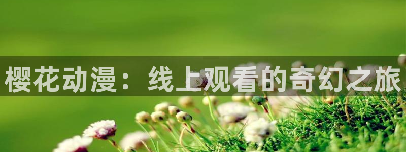 可可影视大全在线观看免费观看电视剧