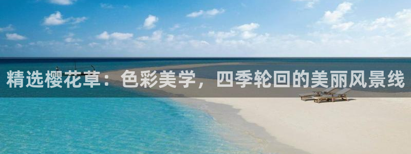 星空影视在线观看全集免费高清