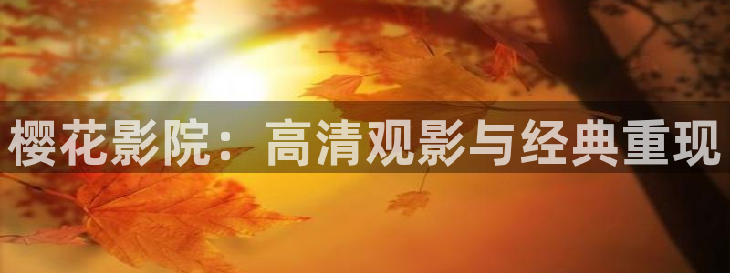 可可影视大全在线观看免费观看