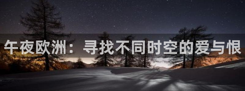 星空下的誓言电影