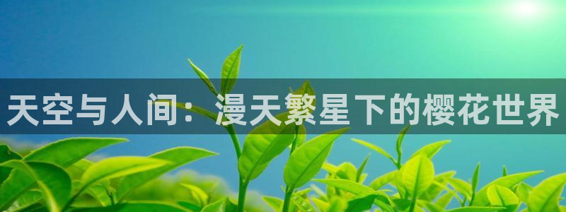 星空高清免费观看完整电影