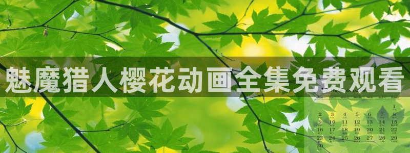 可可影视影视大全免费追剧