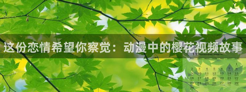 可可影视高清免费观看电视剧软件