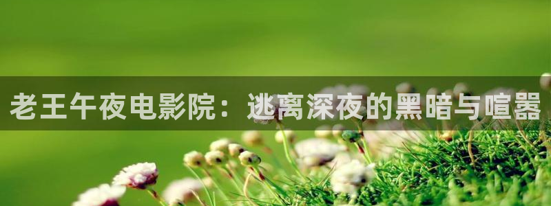 星空影视网下载