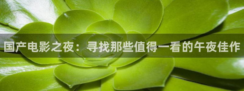 可可影视免费观看高清