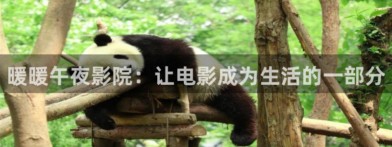 动漫可可影视