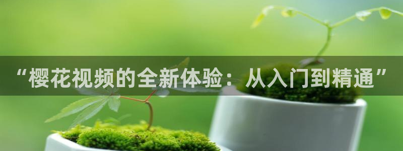可可影视影视大全