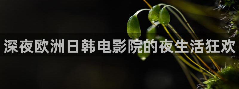 星空影视怎么下载