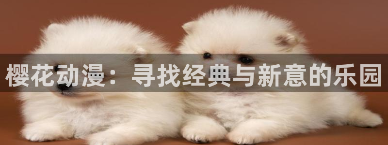 可可影视官网
