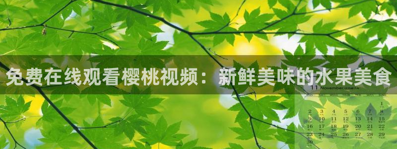 麻豆星空影视