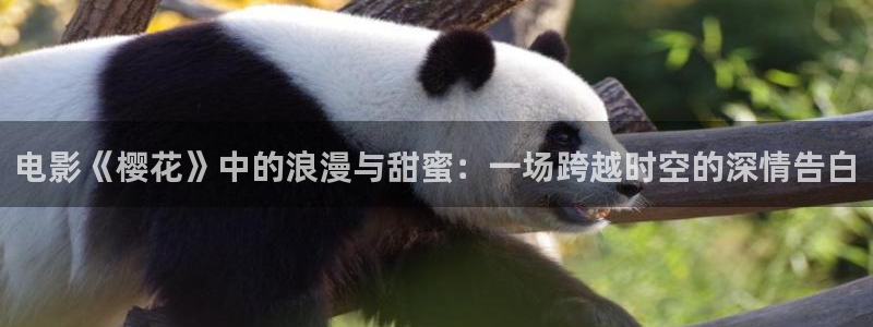 可可影视旧版电影免费观看