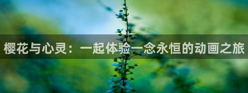 星空无限影院在线观看