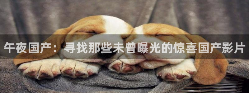 雁回时在线观看可可影视