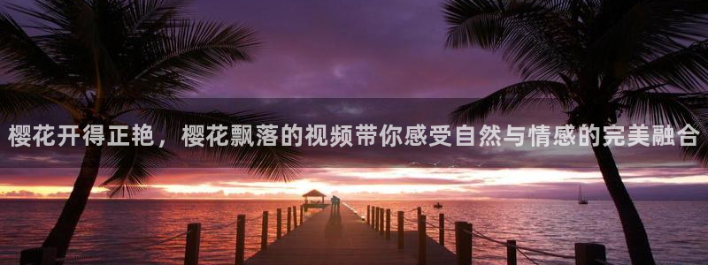 可可影视好看电影在线观看